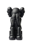 Companion (Passing Through) Black  - Kaws  Cadre Art Paris 