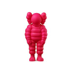 What Party Pink - Kaws