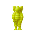 What Party Yellow - Kaws